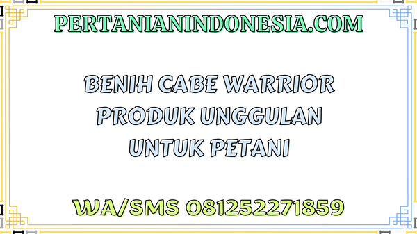 Benih Cabe Warrior Produk Unggulan Untuk Petani